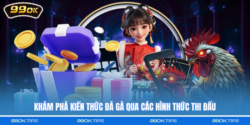 Khám phá kiến thức đá gà qua các hình thức thi đấu