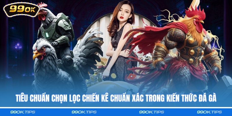 Tiêu chuẩn chọn lọc chiến kê chuẩn xác trong kiến thức đá gà