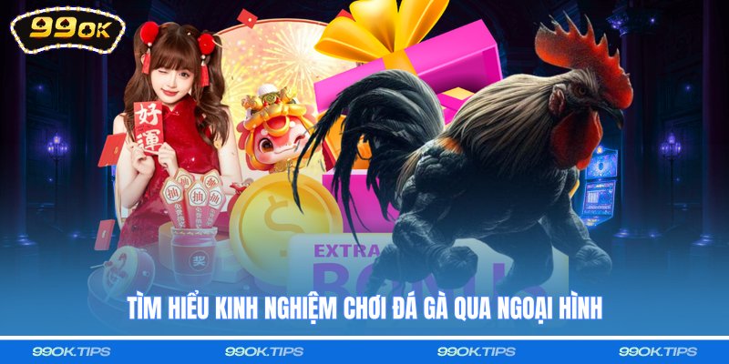 Tìm hiểu kinh nghiệm chơi đá gà qua ngoại hình