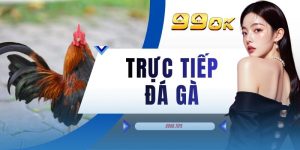 Trực Tiếp Đá Gà - 3 Hình Thức Thi Đấu Phổ Biến Có Tại Nền Tảng